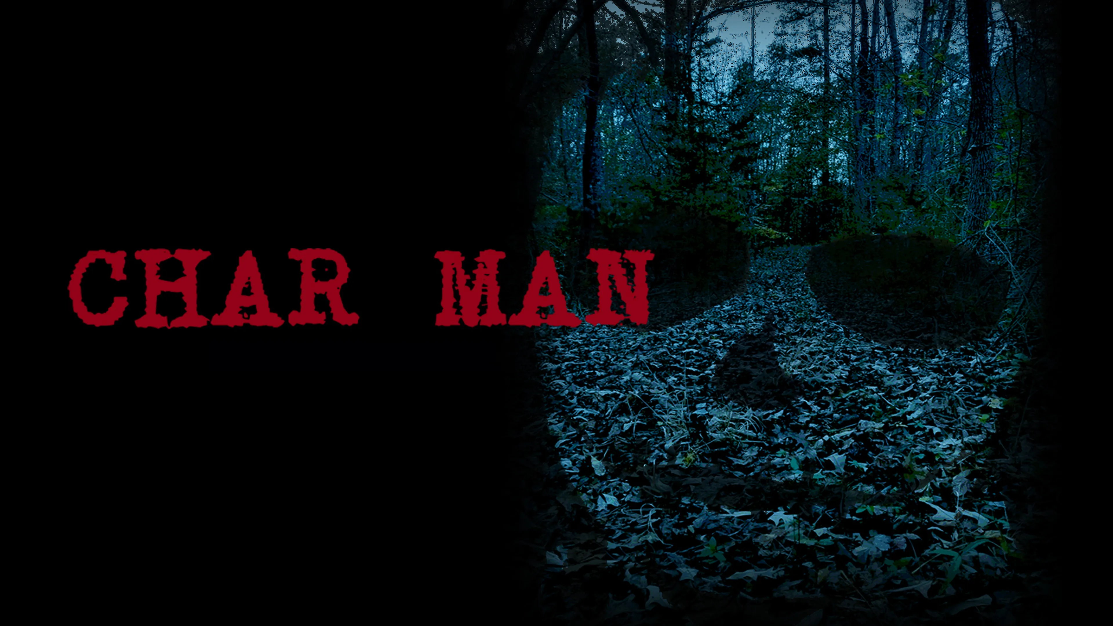 Char Man poster